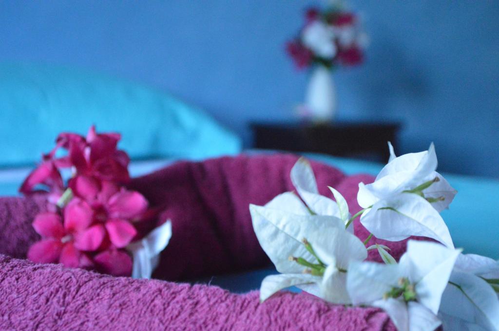 Manga Rosa Hospedagem Canoa Quebrada Room photo